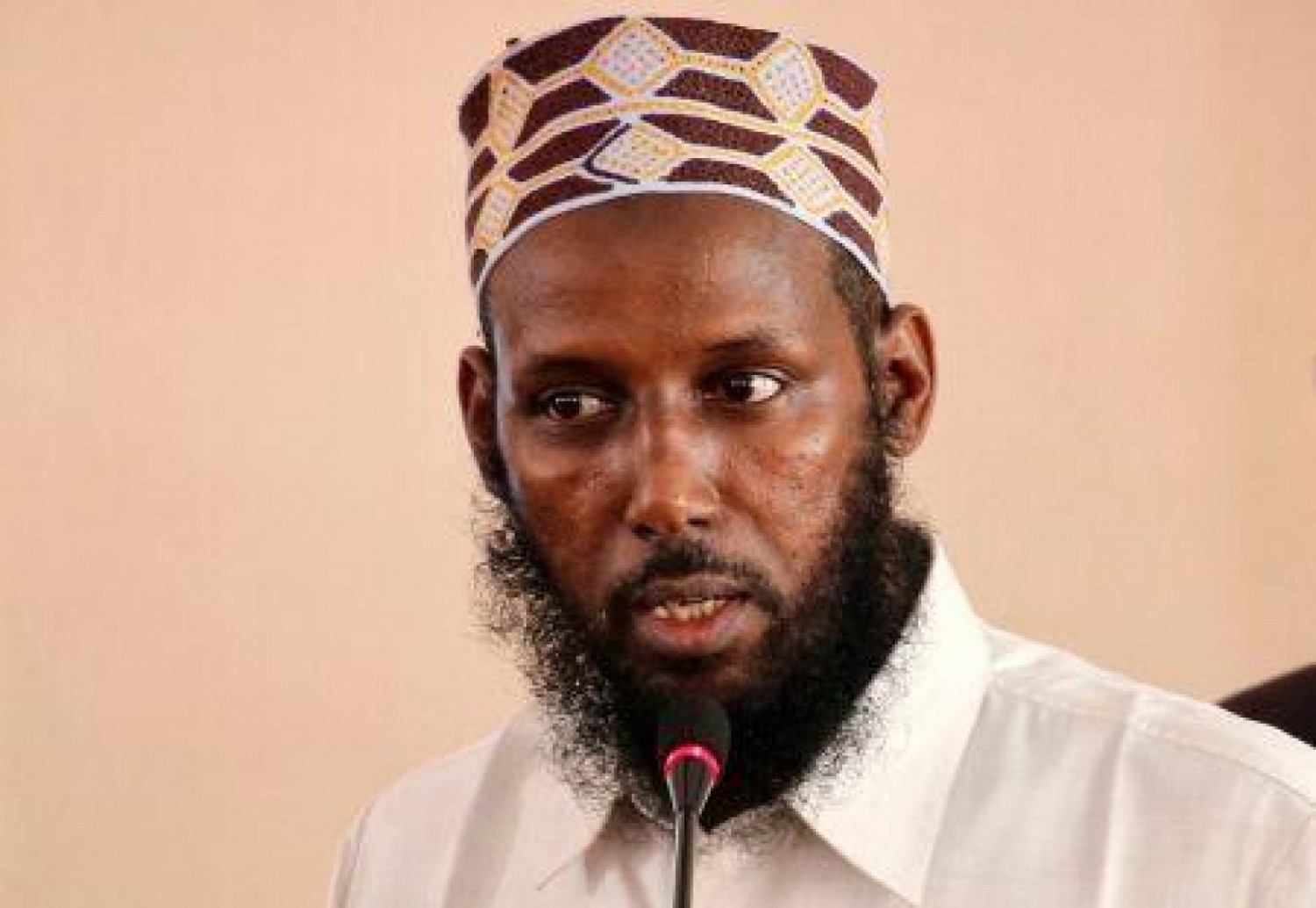 Somalie : Un ancien chef d'Al Shabab nommé au gouvernement