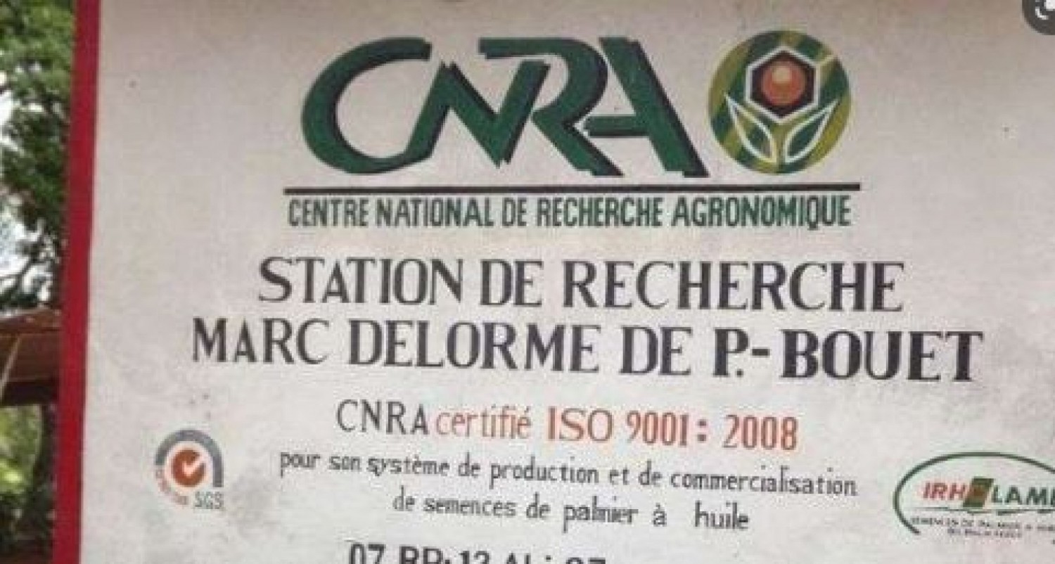 Côte d'Ivoire : Réaménagement de l'équipe dirigeante du CNRA et la transformation du Centre à une société anonyme à participation financière publique majoritaire