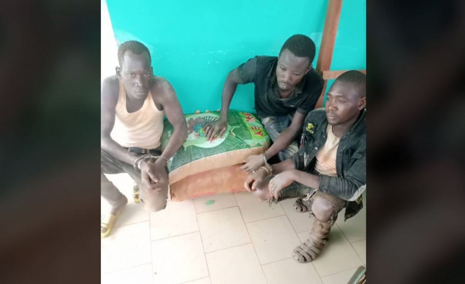 Côte d'Ivoire : Des groupes d'orpailleurs  clandestins appréhendés par la SODEFOR dans les forêts  classées de Kowa et de Goin-Débé