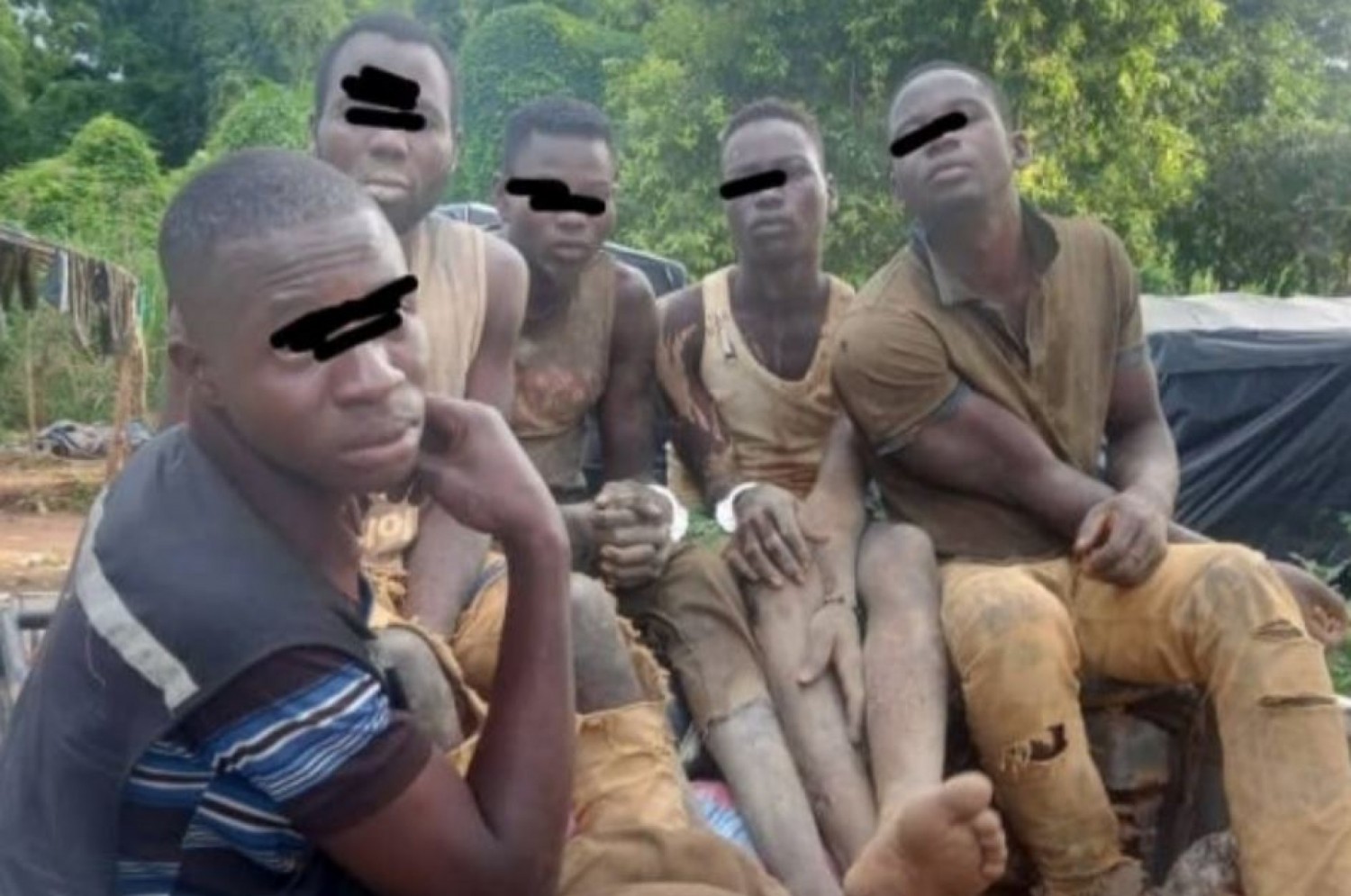 Côte d'Ivoire : Les agents de la SODEFOR épinglent des orpailleurs clandestins dans la forêt classée de Loho, 750 Madriers saisis