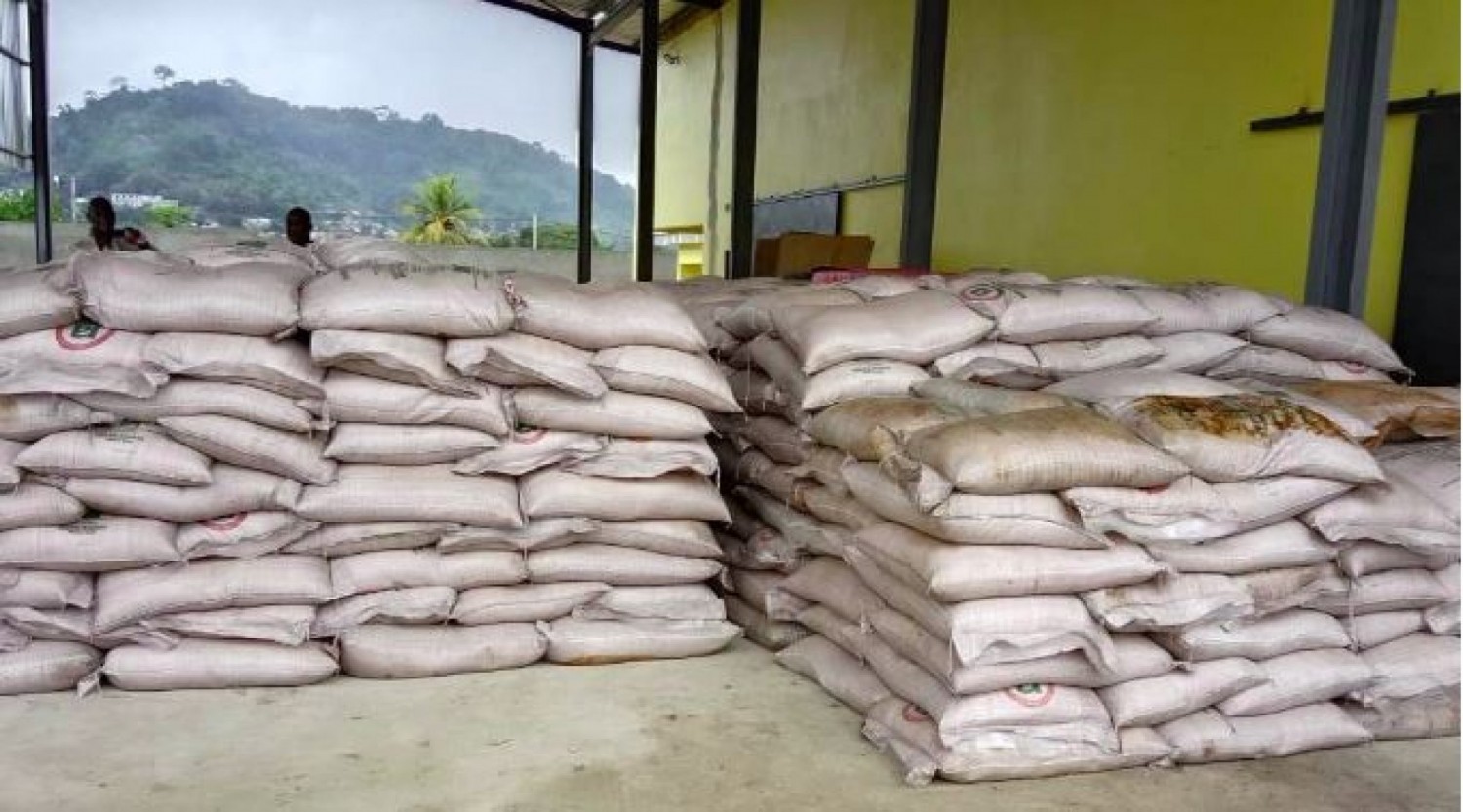 Côte d'Ivoire : Sipilou, saisie de 35 tonnes de sucre brésilien d'une valeur de 21 millions en provenance de la Guinée, les propriétaires introuvables