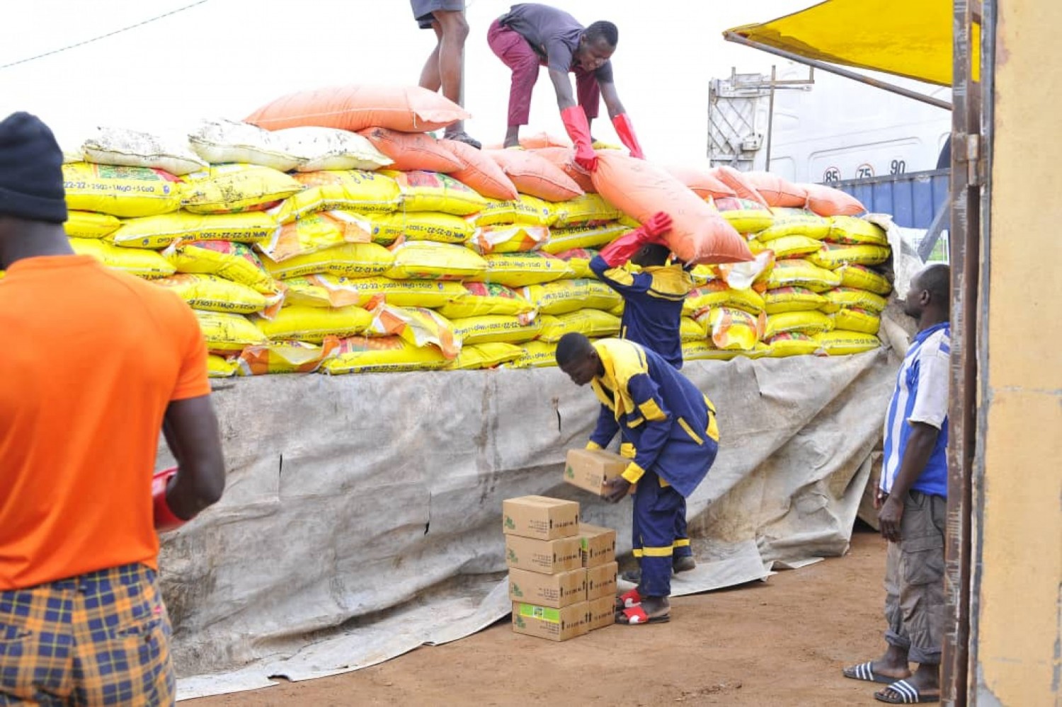 Côte d'Ivoire : 162 producteurs de riz de l'association Diabo Ville Émergente soutenus par l'ADERIZ