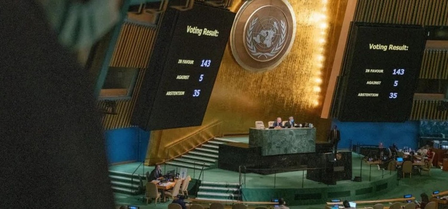 Afrique : Comment les pays africains ont voté à l'ONU sur les annexions russes en Ukraine