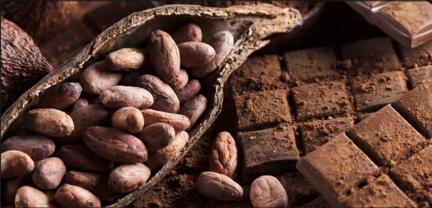 Côte d'Ivoire : Mise en application du différentiel de revenu du cacao, Abidjan et Accra accentuent la pression, la date limite serait  fixée au 20 novembre