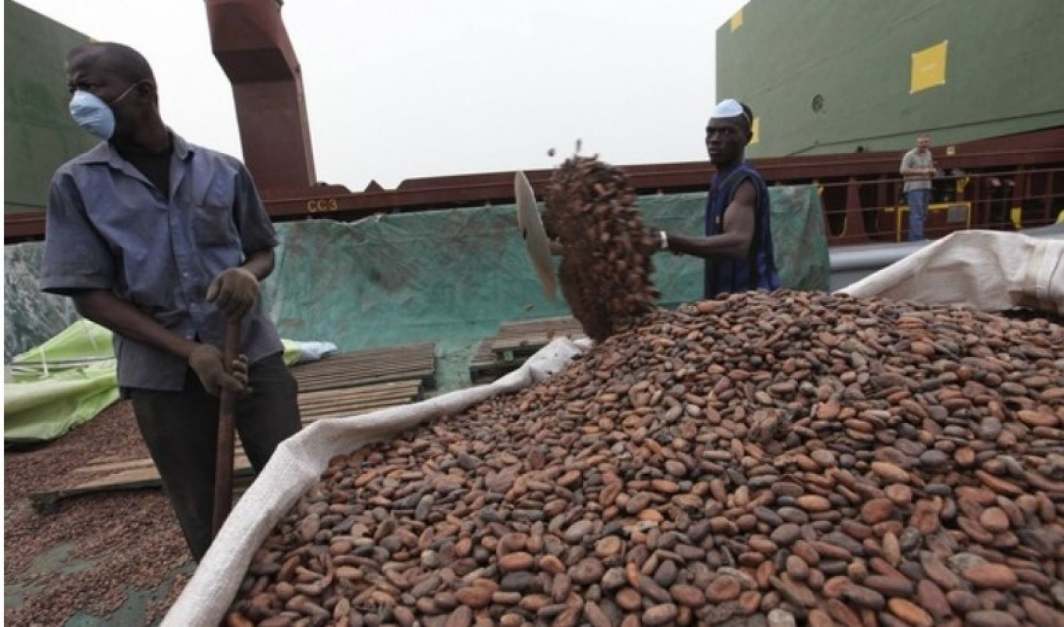 Côte d'Ivoire : « Affaire des contrats d'exportation vendus avec un différentiel d'origine négatif », le Conseil Café-Cacao dénonce une fausse information