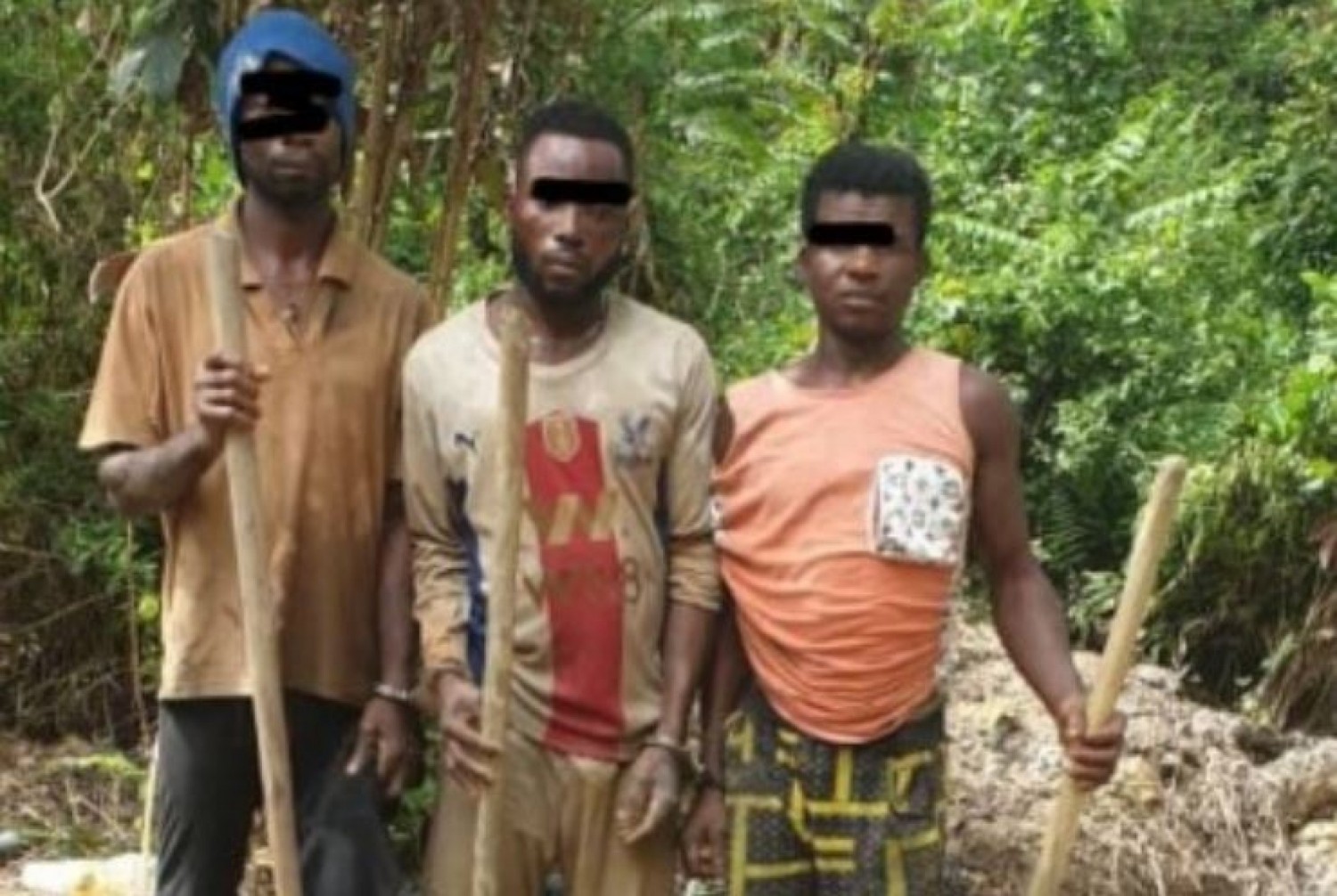 Côte d'Ivoire : Des destructeurs  de la forêt classée de Cavally mis aux arrêts et déférés au parquet de Guiglo