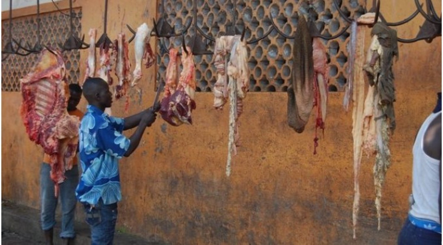 Côte d'Ivoire : Démantèlement de sites d'abattages clandestins d'animaux à Abidjan