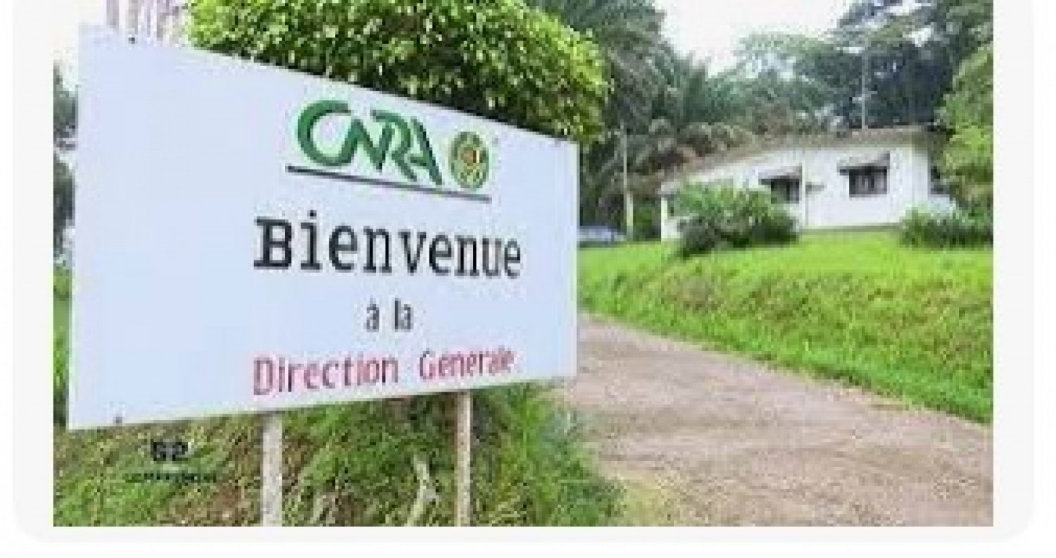 Côte d'Ivoire : Le CNRA désormais placé sous la tutelle du ministère de l'Agriculture et du Développement durable