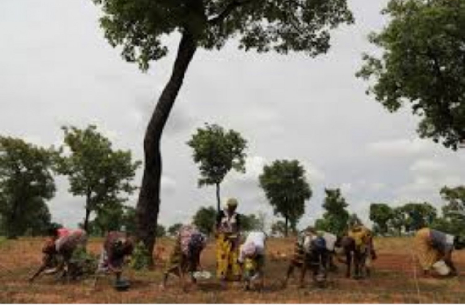 Burkina Faso : Nouveau bilan d'une soixantaine de personnes enlevées dont des nourrissons