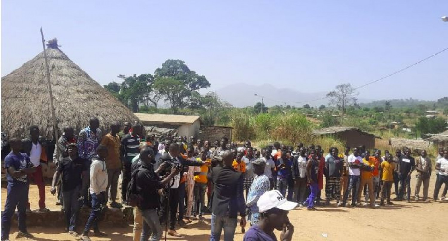 Côte d'Ivoire : Tension dans un village de Biankouma, des planteurs déguerpis de leurs champs à la suite d'un conflit sur 186 ha