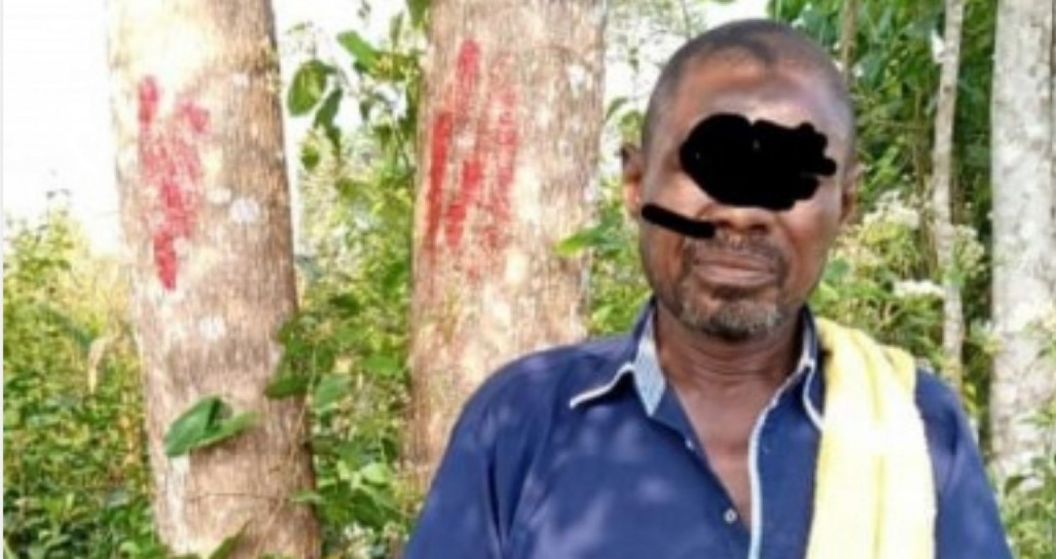 Côte d'Ivoire : Un individu vend une parcelle de 548 ha dans la forêt classée de Dogodou (Guitry) et écope de quatre mois de prison ferme
