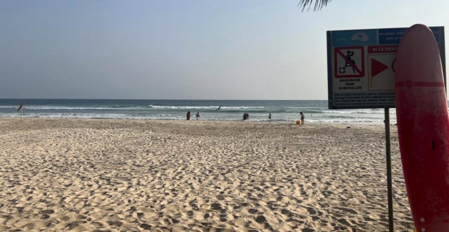 Côte d'Ivoire : Invasion de « méduses bleues » et de puces de sable à Assinie