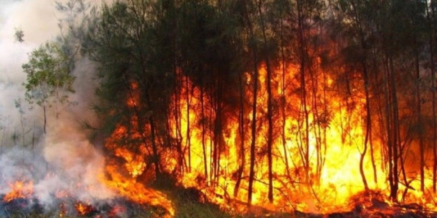 Côte d'Ivoire : S/P de Tiendékro, une septuagénaire et ses deux petits-fils meurent calcinés dans un feu de brousse