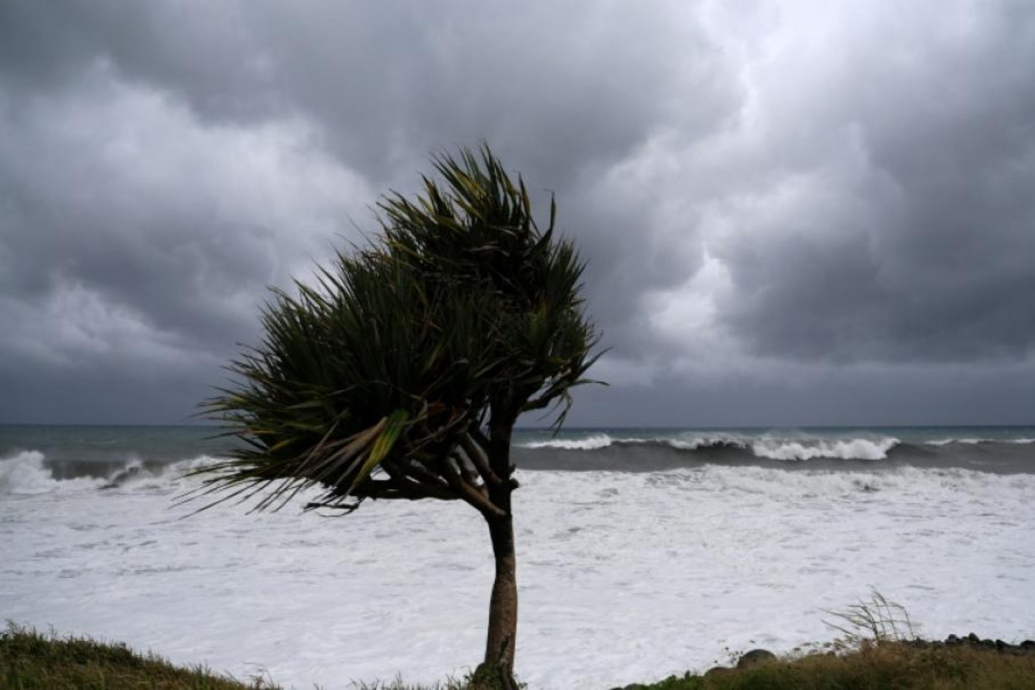 Madagascar : Le cyclone Freddy fait cinq morts après son passage et s'avance vers le Mozambique