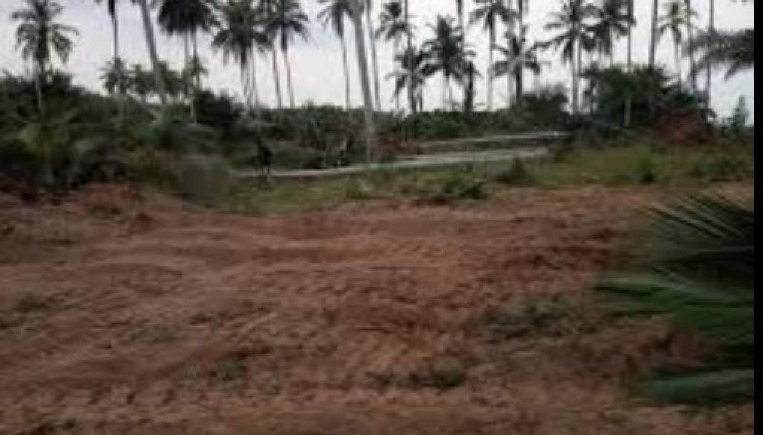 Côte d'Ivoire : Taboth, des propriétaires terriens et planteurs portent plainte devant le Procureur du Pôle économique et financier contre le chef de village