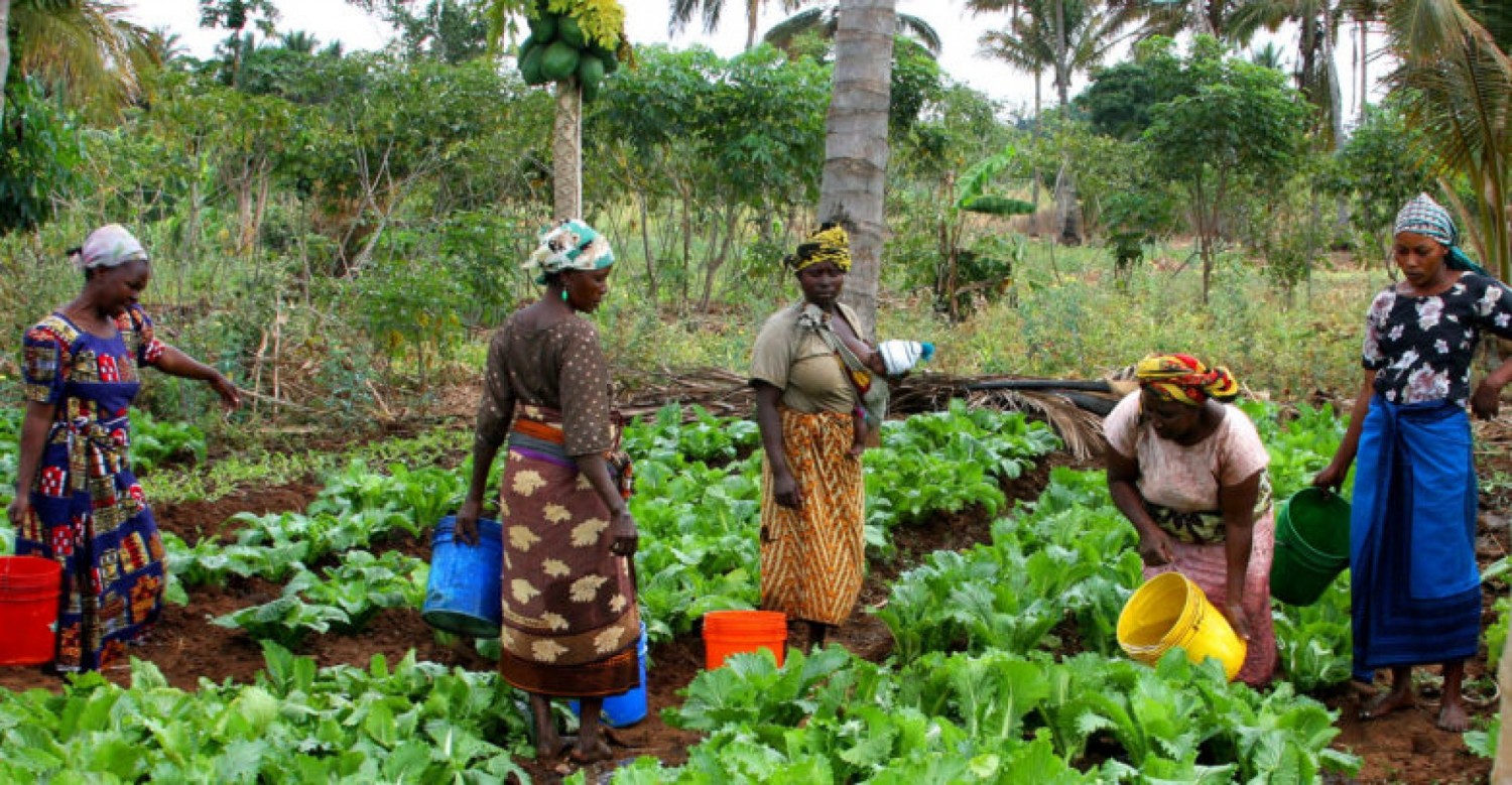 Côte d'Ivoire : Journée Internationale de la Femme (JIF), Bédié : «Œuvrons main dans la main pour bâtir une société plus inclusive »