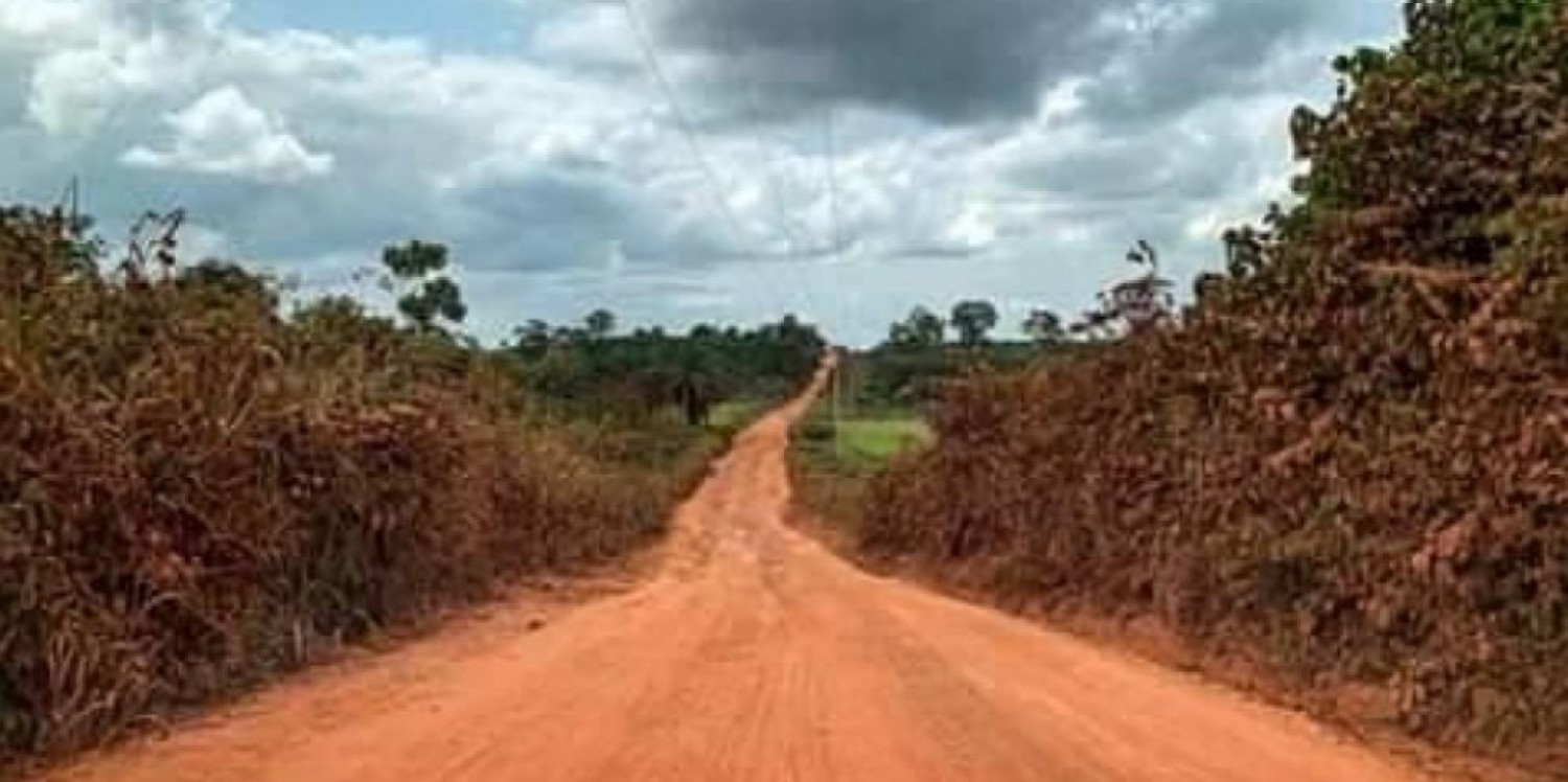 Côte d'Ivoire : L´axe Tabou-Grabo-Taï-Guiglo (Nationale A7)  long de 284 km bientôt bitumé
