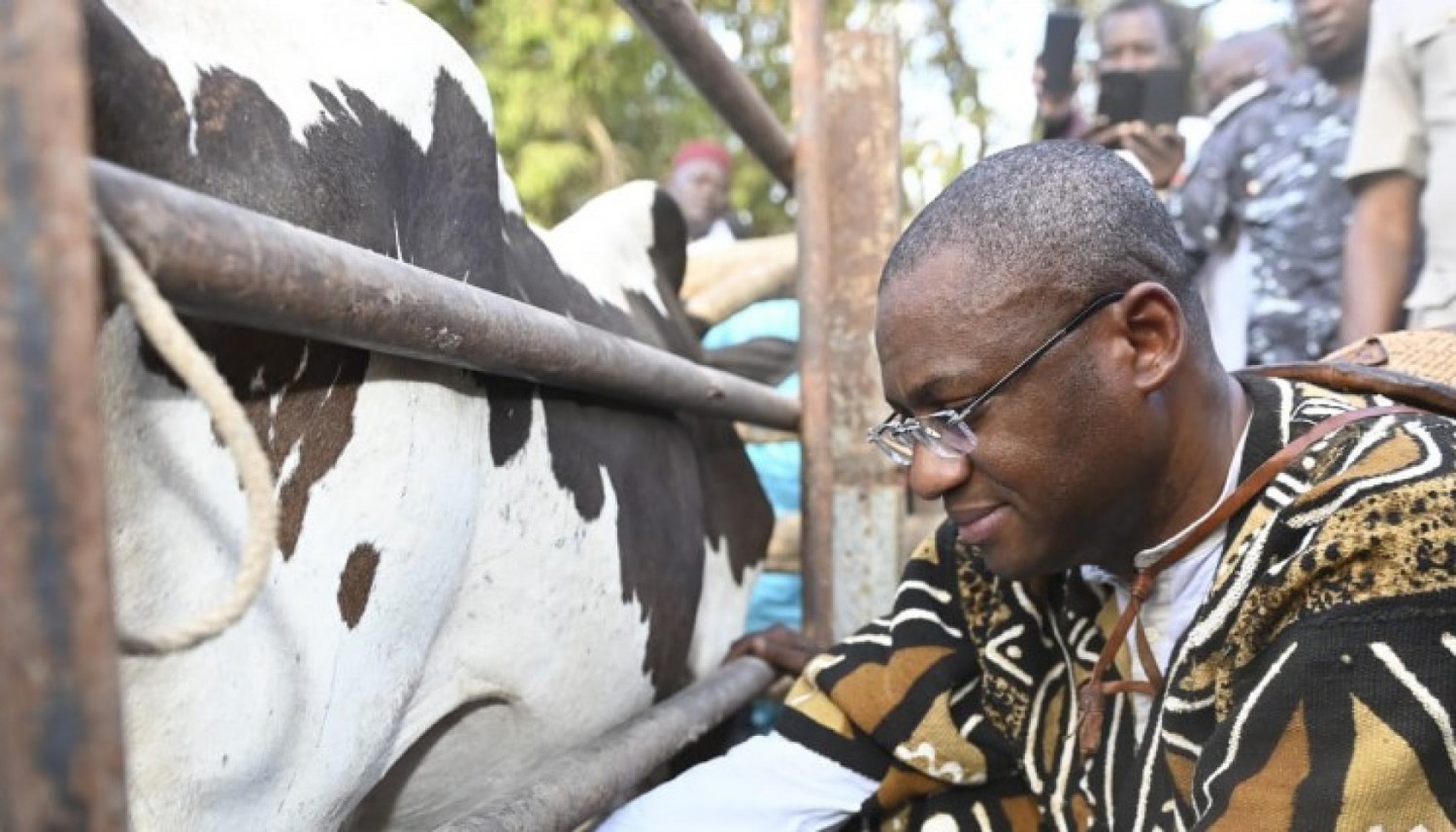 Côte d'Ivoire : Lancement du projet de développement et de promotion de la production laitière (pro-Lait), un coût total de 8,277 milliards FCFA