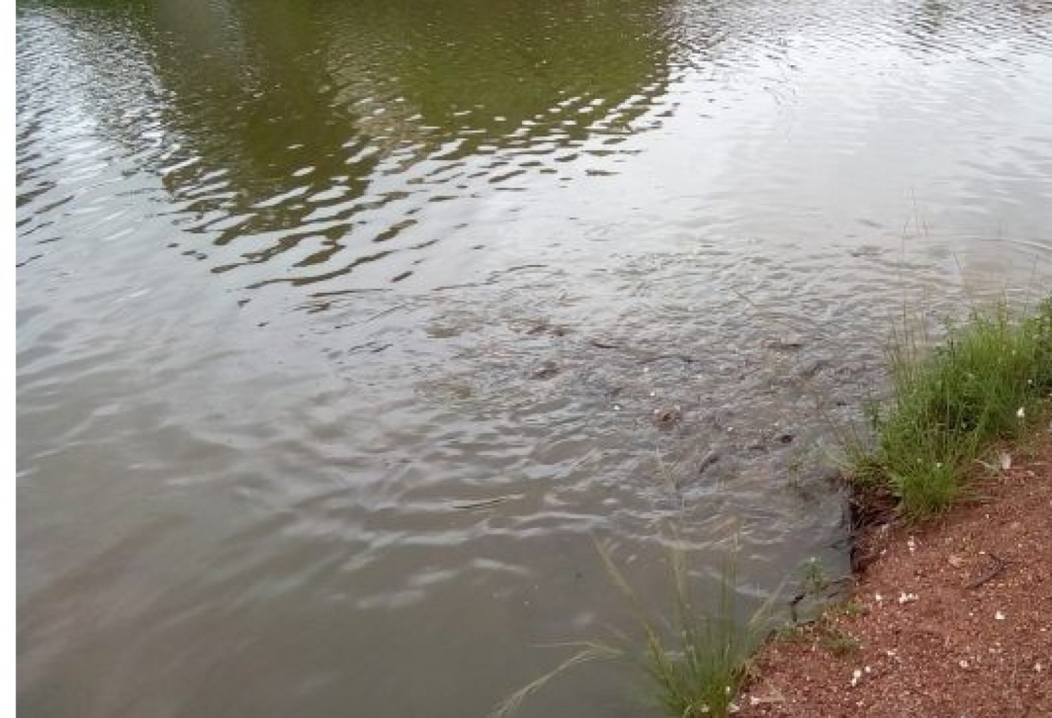 Côte d'Ivoire : Région du Goh, les corps sans vie de deux  élèves repêchés dans une rivière de Gagnoa