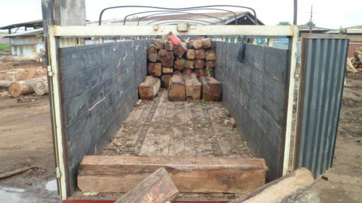Côte d'Ivoire :     Protection du bois de vêne, les industries locales de bois ont 18 mois pour transformer le stock saisi encore valorisable