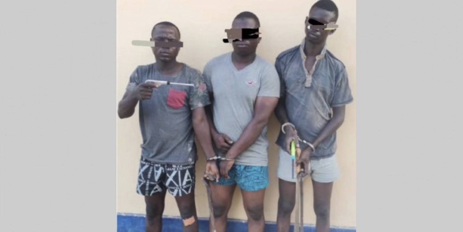 Côte d'Ivoire : A peine installée à Korhogo, la Brigade de Recherche d'Intervention (BRI) frappe ,  un « dangereux » gang  interpellé