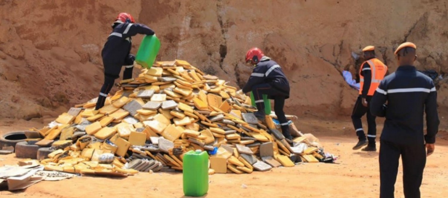 Côte d'Ivoire : Près d'une tonne de cannabis incinérée à Adiaké, importante saisie à Yamoussoukro et interpellation de 16 individus