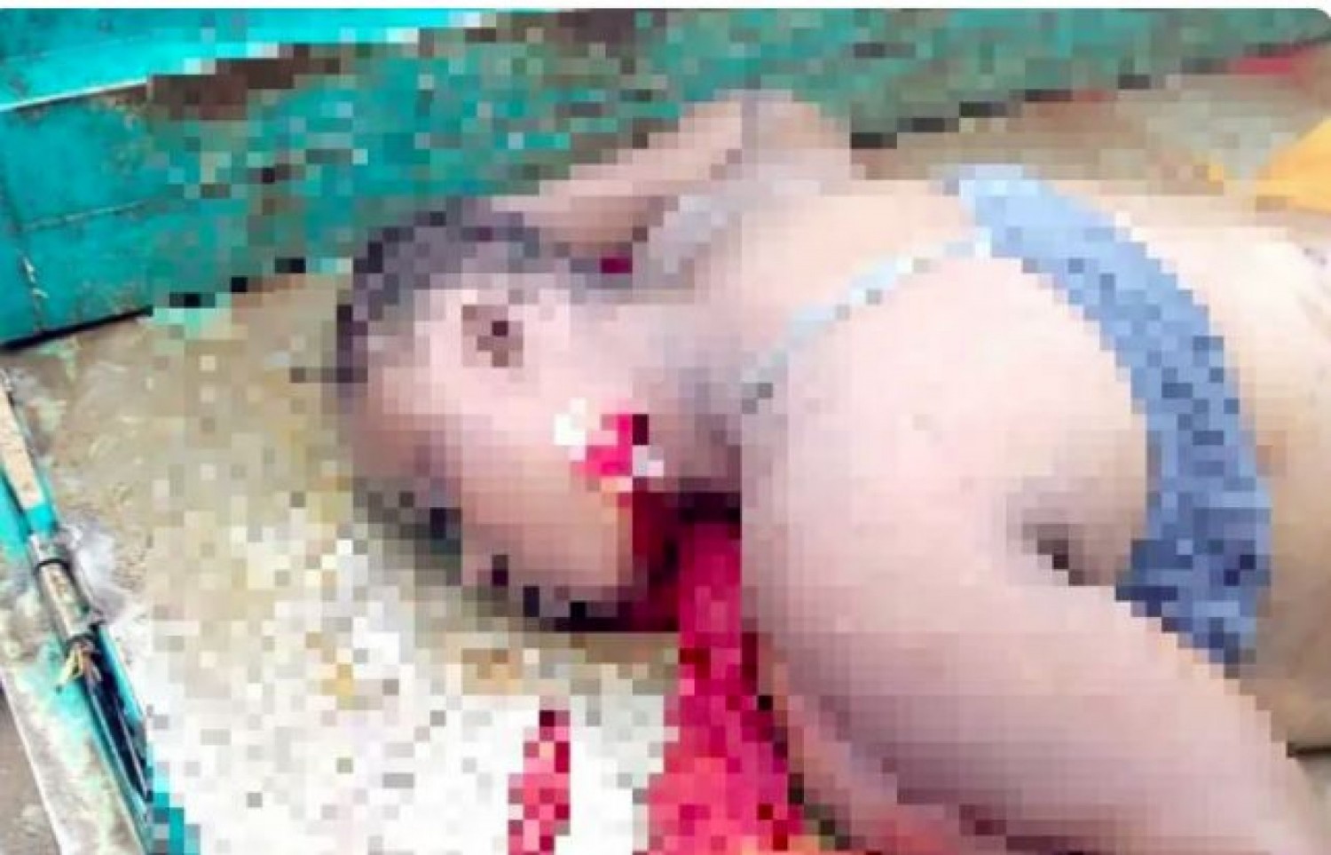 Côte d'Ivoire : Crime crapuleux à Bingerville, pour une histoire d'argent, il tue atrocement une fille de 33 ans en lui tranchant la gorge avec du bambou de Chine