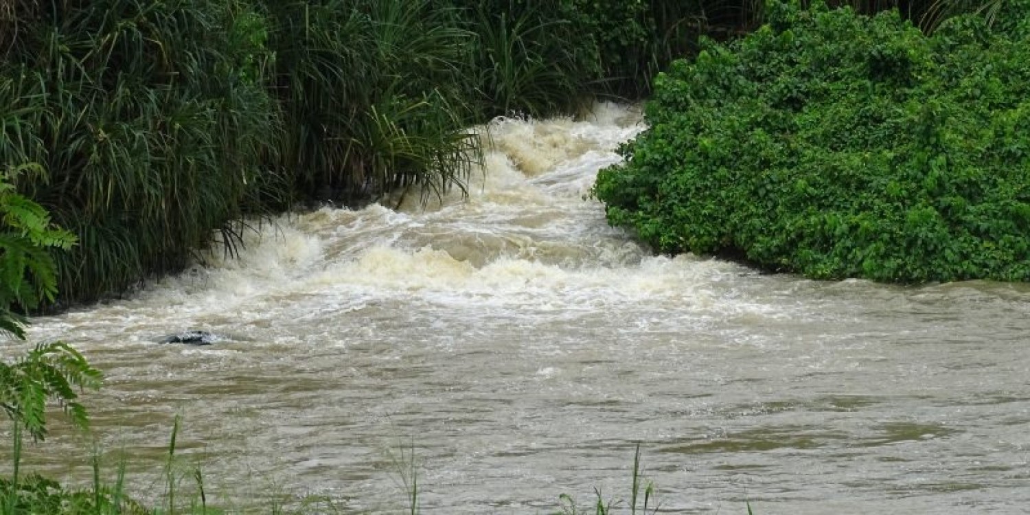 Côte d'Ivoire : Agboville, le corps sans vie d'un élève repêché  dans une rivière