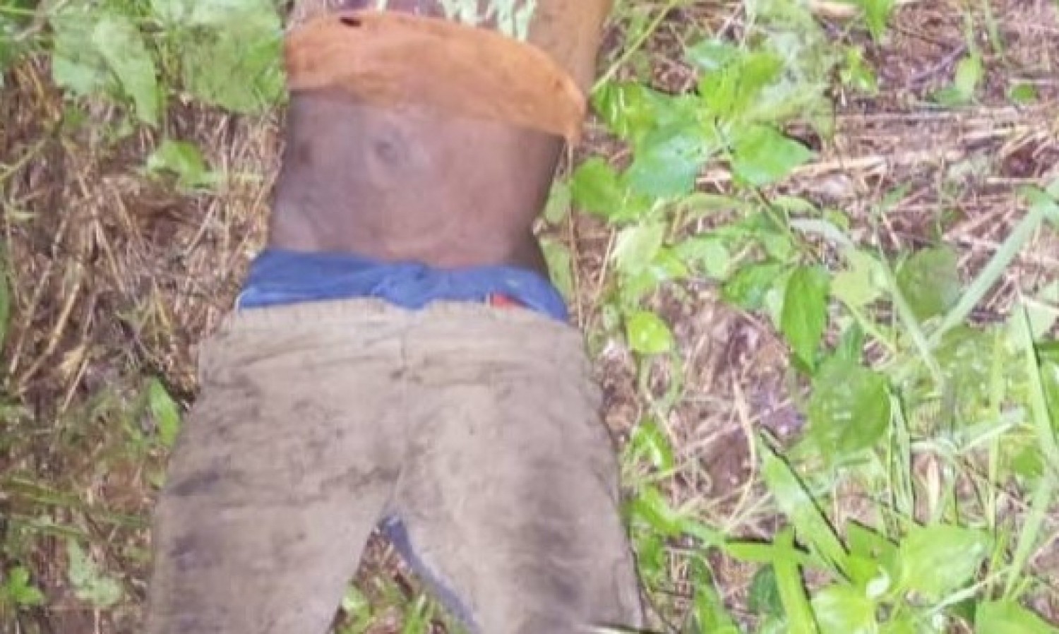 Côte d'Ivoire : Un chasseur confond un adolescent avec  un gibier et l'abat dans la broussaille