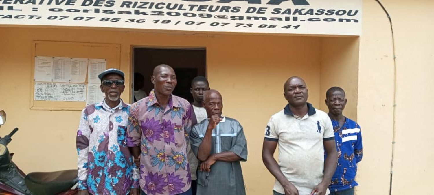 Côte d'Ivoire : Sakassou, une coopérative de riziculteurs sollicite du matériel agricole auprès du gouvernement