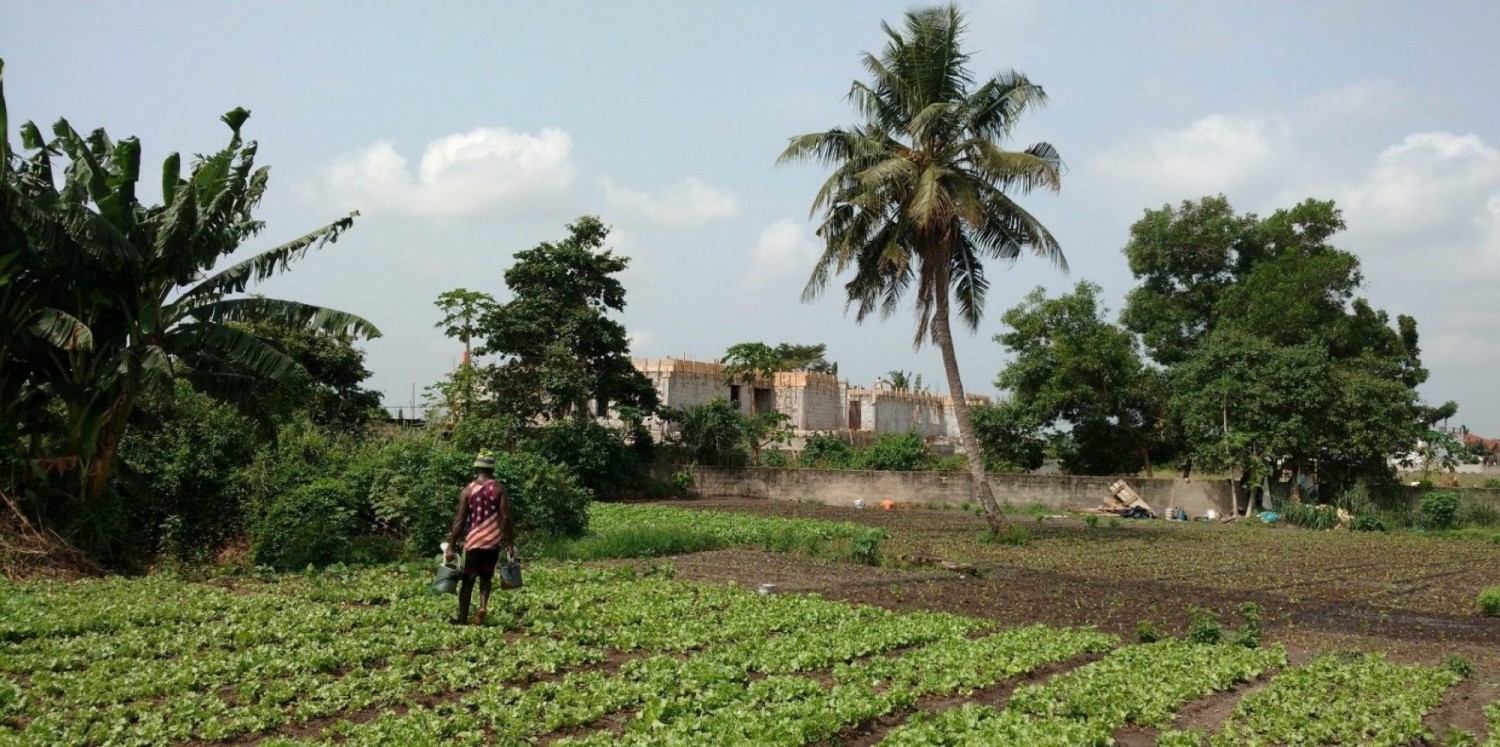 Côte d'Ivoire : Certification des terres rurales et achèvement de la délimitation des territoires des villages, 620 milliards pour la mise en œuvre du SNSFR et du PNSFR sur la période 2023-2033