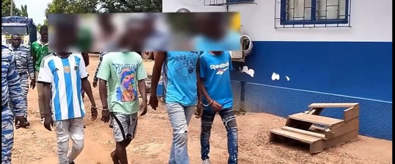 Côte d'Ivoire : A l'approche de la Tabaski, un  gang spécialisé dans le vol de bétails démantelé à Toumodi