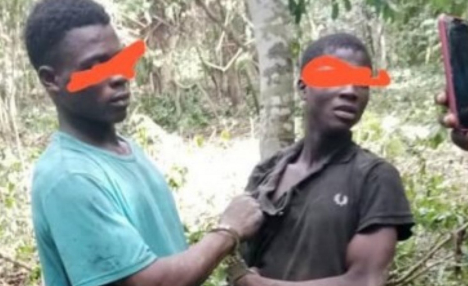 Côte d'Ivoire : Six « fossoyeurs » des forêts mis en déroute à Seguié
