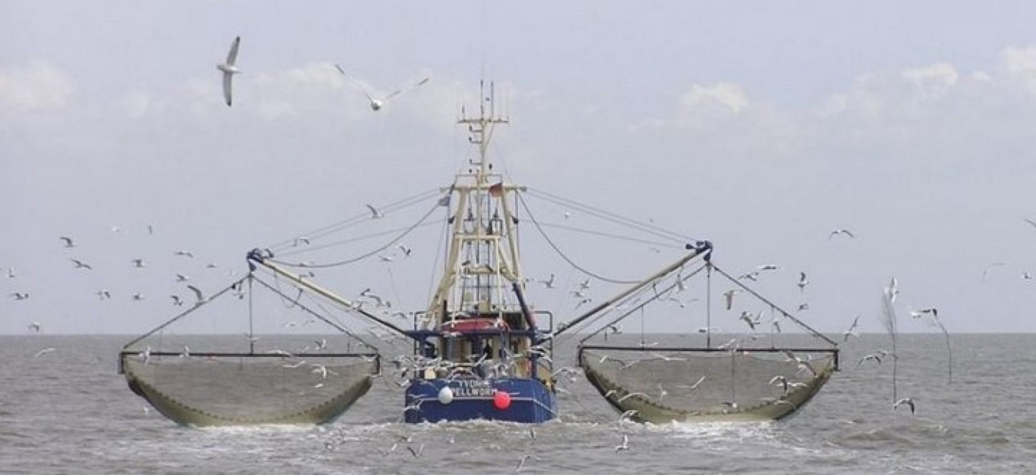 Côte d'Ivoire : Repos biologique, prive-t-on les ivoiriens de poisson pour mieux laisser les asiatiques le pêcher ?