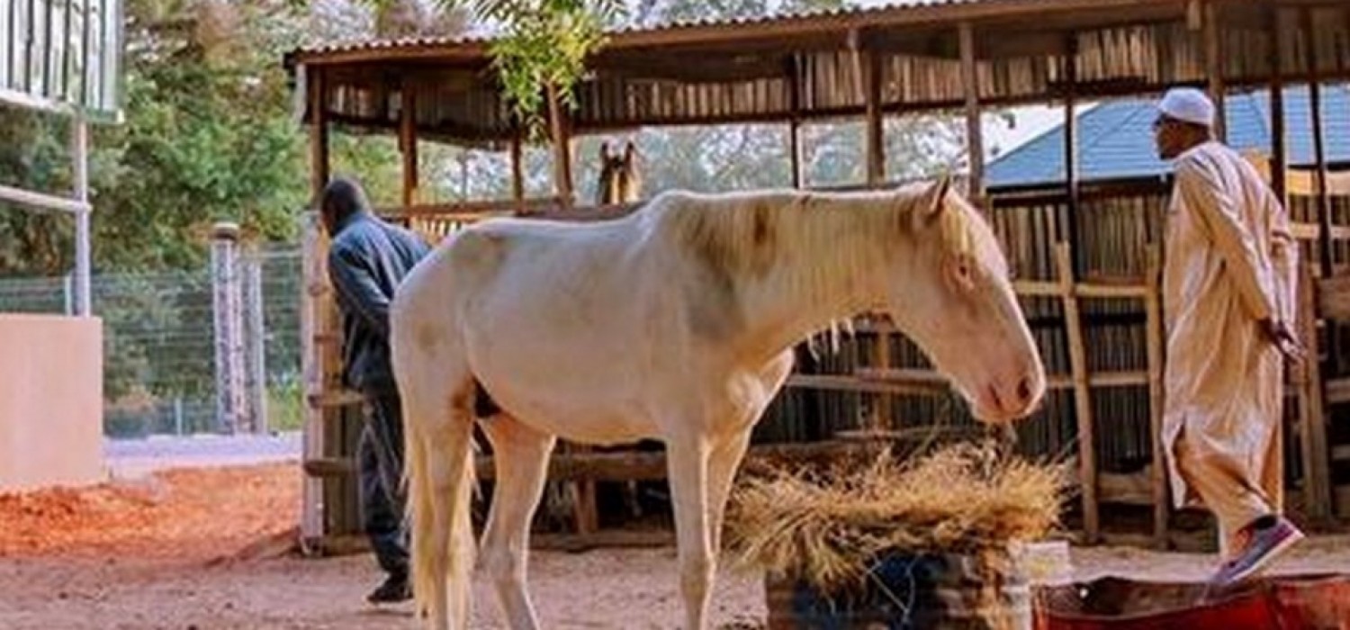 Nigeria :  Buhari dément sa fuite en exil au Royaume-Uni