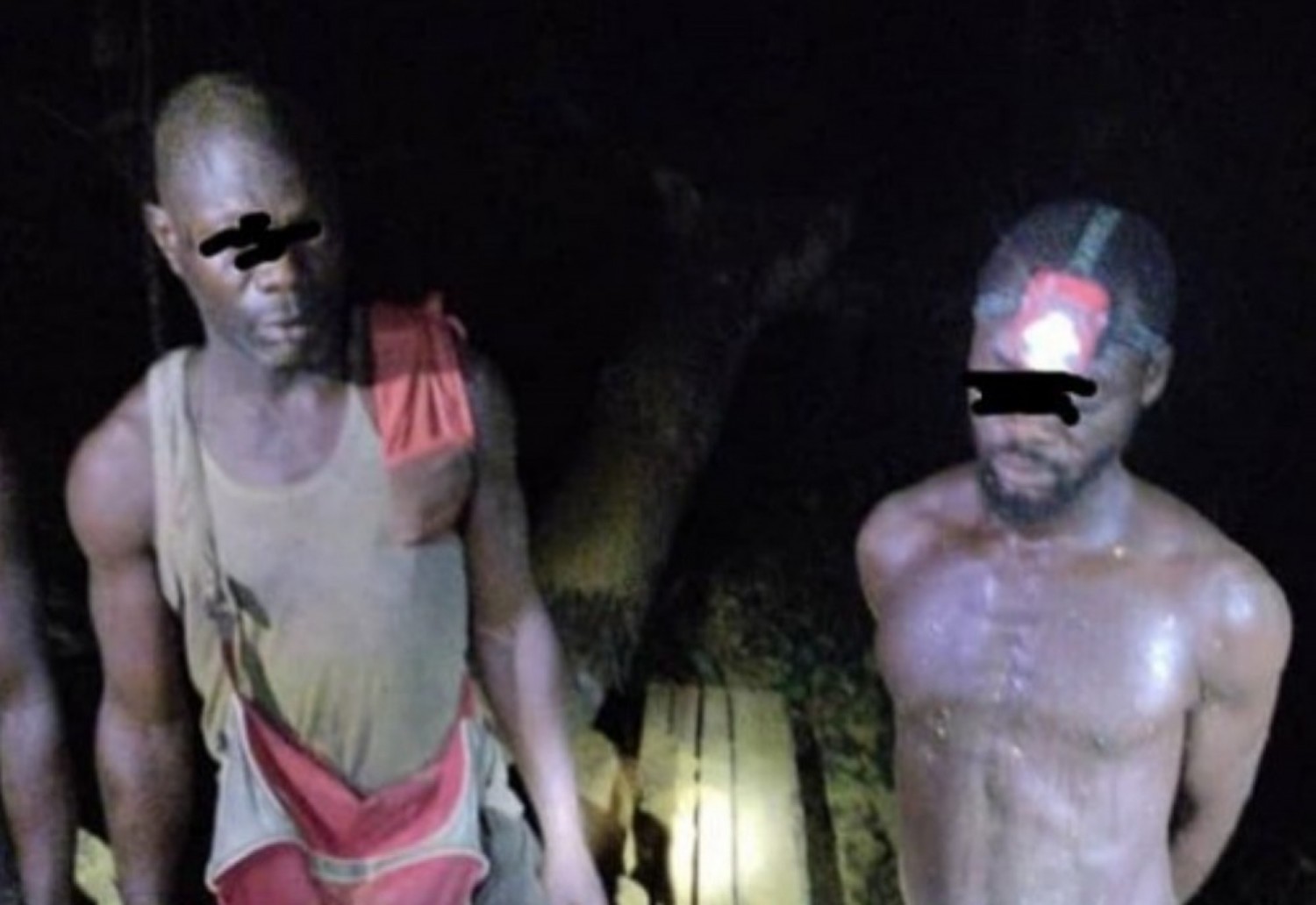 Côte d'Ivoire : Près d'une dizaine de clandestins destructeurs des forêts classées  mis aux arrêts et déférés