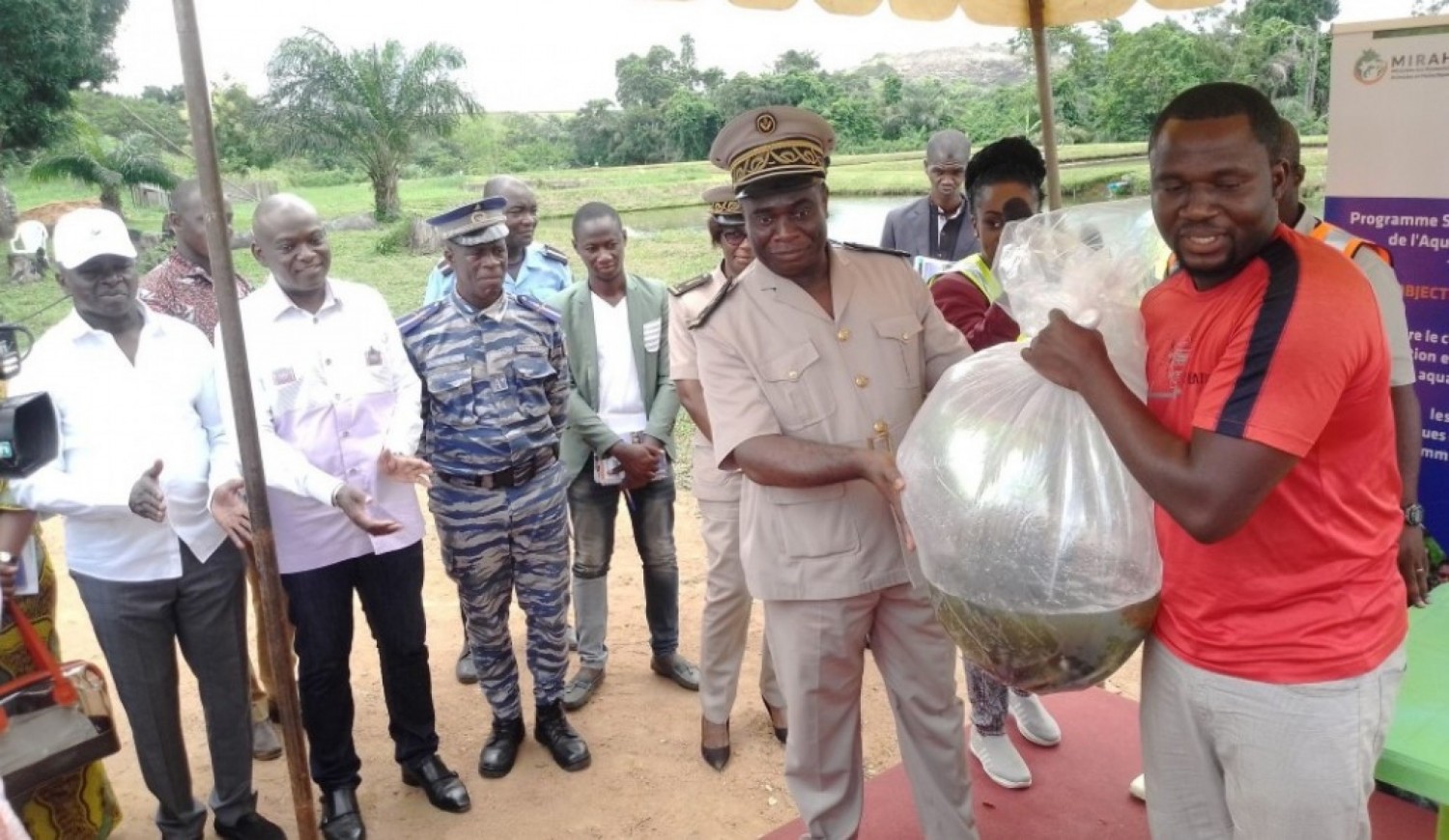 Côte d'Ivoire : Depuis la Loka, des aquaculteurs du centre se réjouissent de la mise à leur disposition d'alevins de tilapias