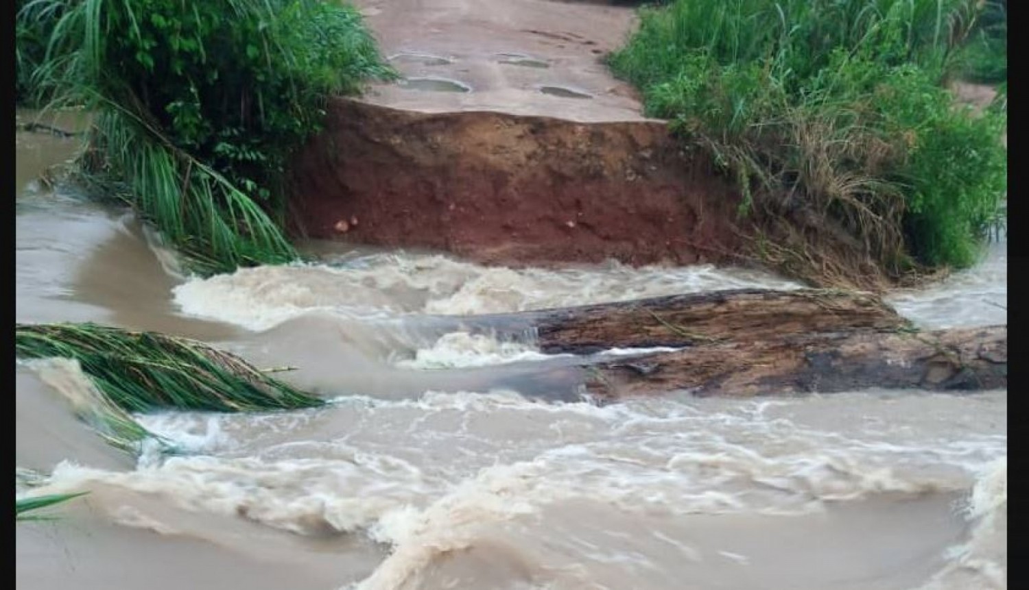 Côte d'Ivoire : Sipilou coupé du reste du pays, le seul pont de fortune qui relie la localité aux autres villes, cède après une forte pluie