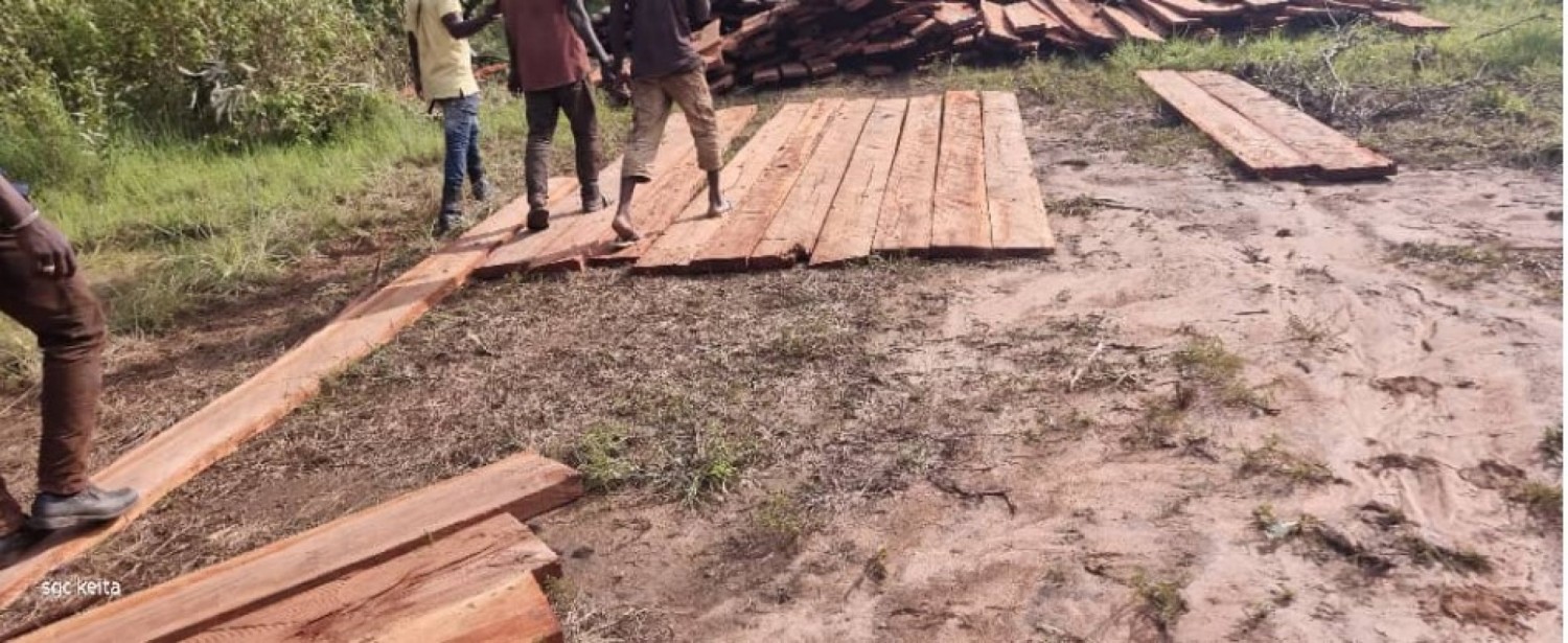 Côte d'Ivoire : Lutte contre la déforestation et sciage à façon, les décisions du Ministre Laurent Tchagba foulées aux pieds ?