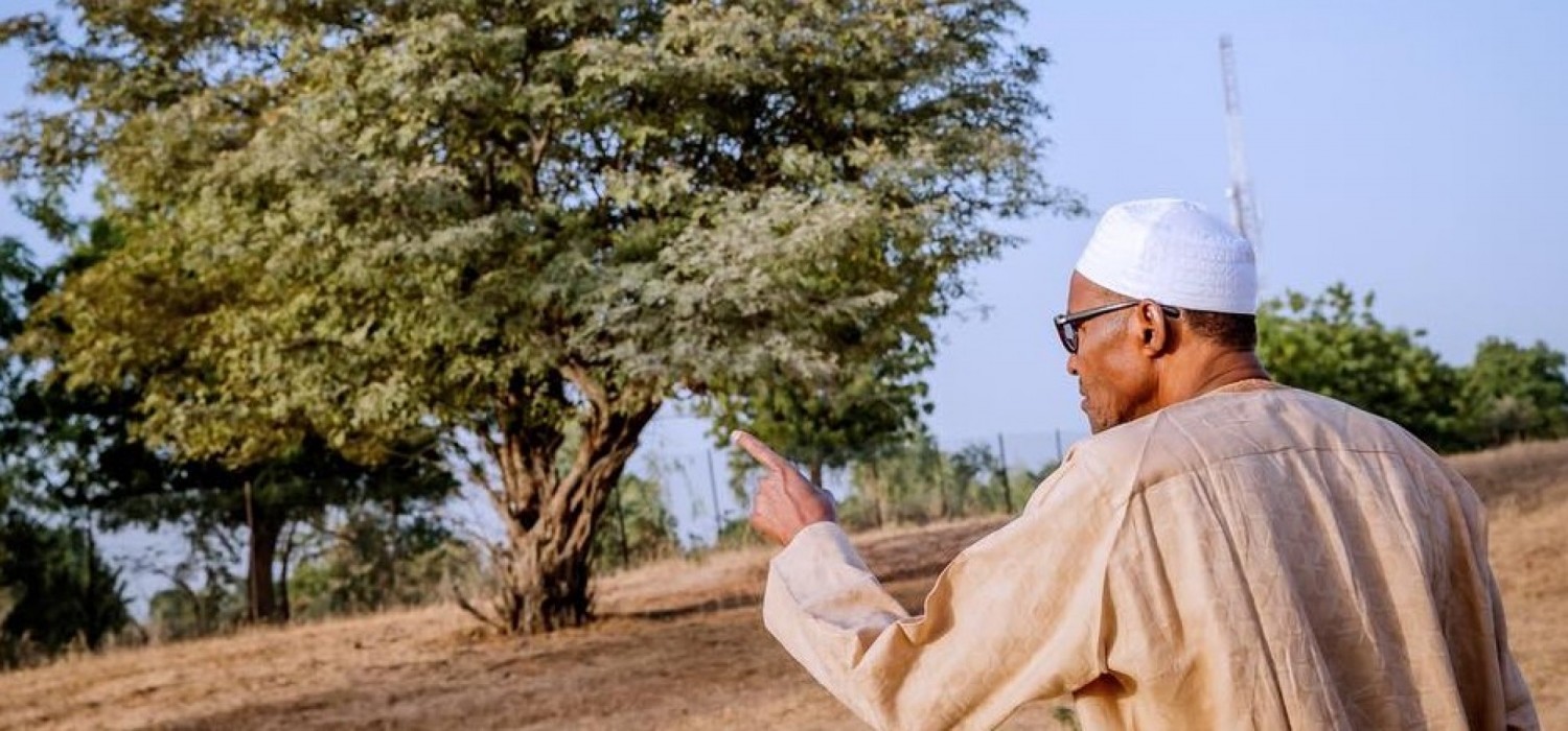 Nigeria :  Buhari devient agriculteur à Daura
