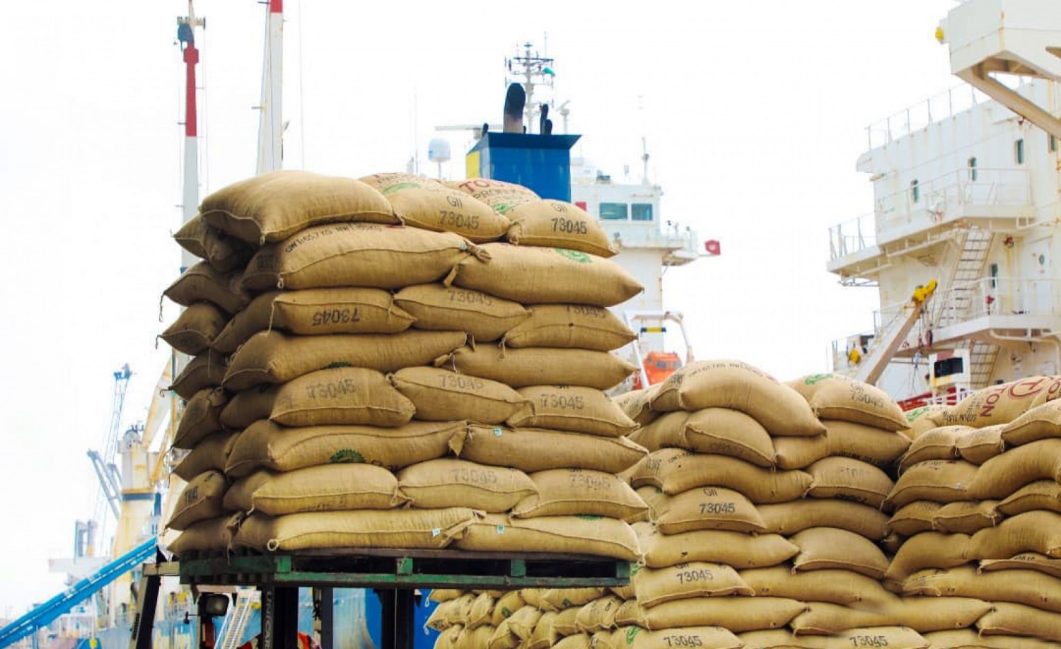 Côte d'Ivoire : Le Gouvernement suspend à titre conservatoire l'exportation du riz local et du sucre jusqu'au 31 decembre 2023