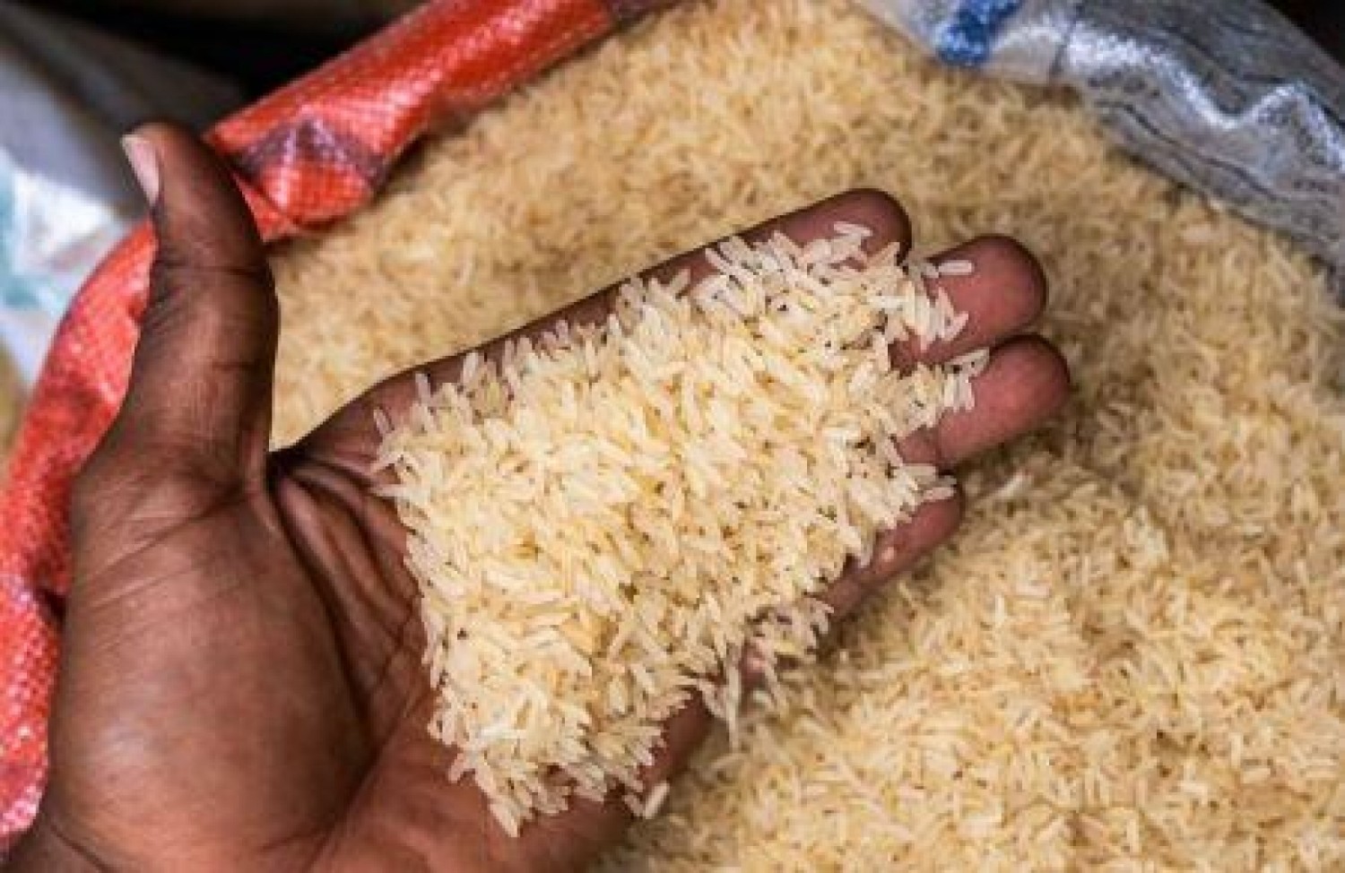 Côte d'Ivoire : Cherté de la vie, l'Inde aurait autorisé la vente de riz blanc non basmati vers Abidjan