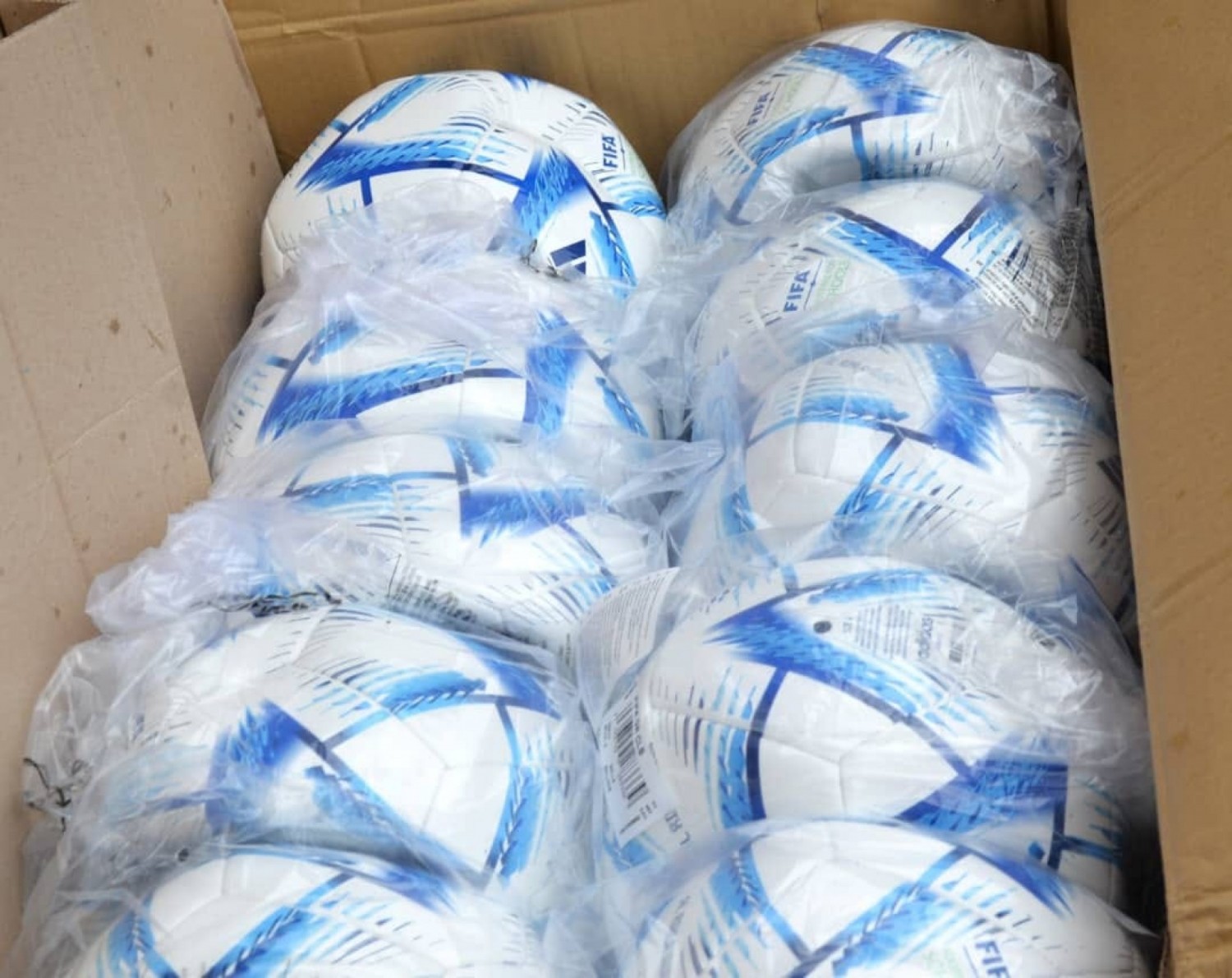 Côte d'Ivoire : Projet FIFA For School, 27.000 ballons seront distribués aux écoles