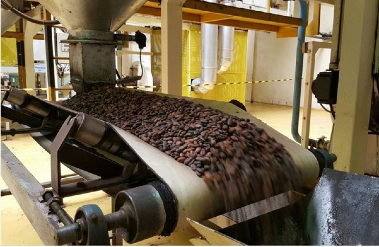 Côte d'Ivoire : Les Multinationales exigeraient une baisse des prix des contrats d'exportation de cacao pour la saison 2024-2025, la vente menacée ?