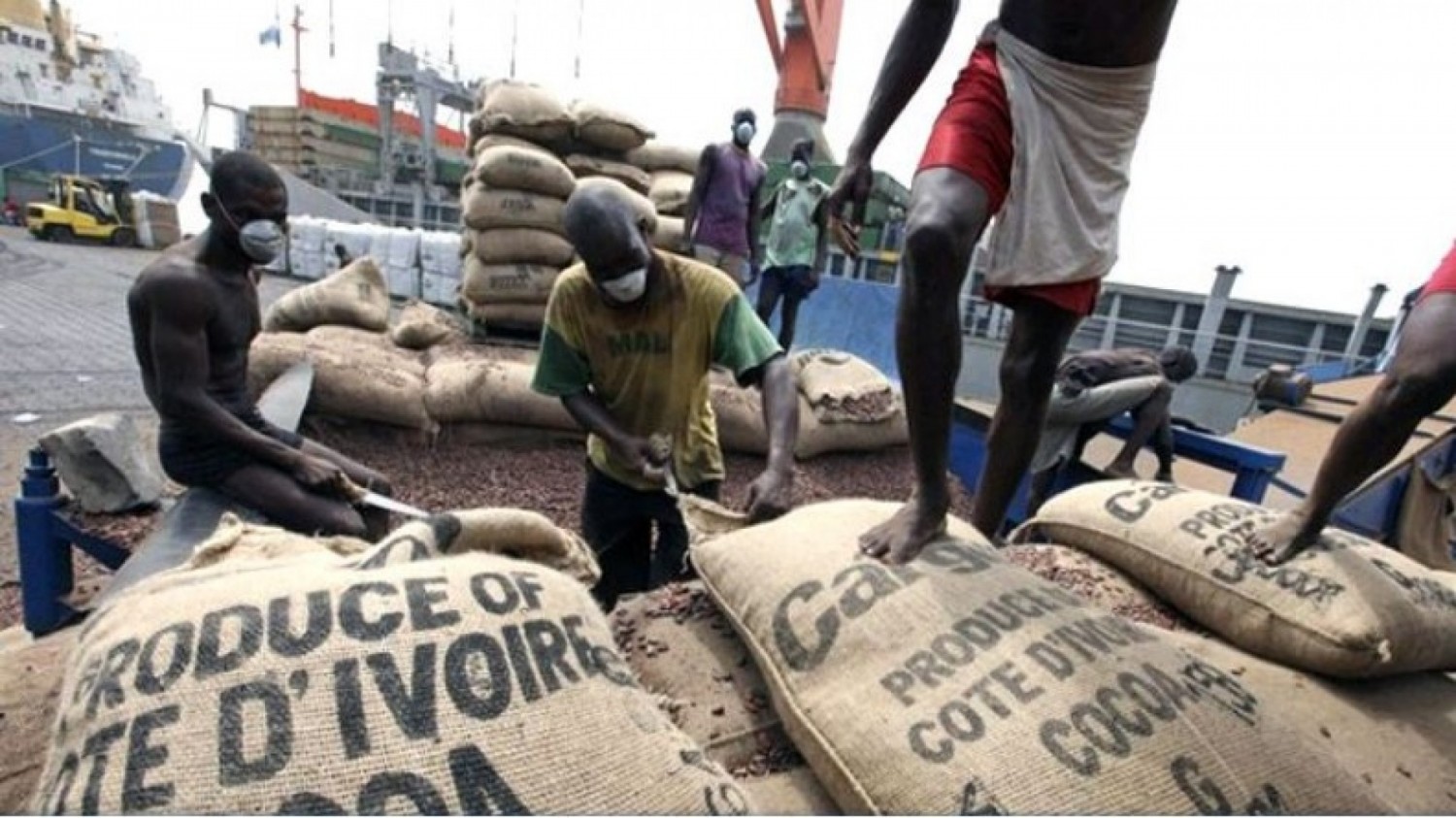 Côte d'Ivoire : La plate-forme africaine pour le cacao durable dénonce la pratique des multinationales à forcer les prix vers le bas