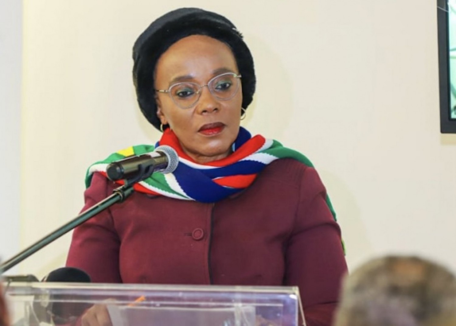 Afrique du Sud : La ministre des transports victime d'un braquage près de Johannesburg