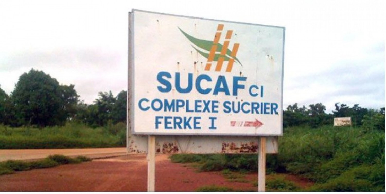 Côte d'Ivoire : Hausse injustifiée des prix de vente du sucre, la SUCAF dit avoir mis à disposition des stocks de sucre et respecté  les tarifs plafonnés