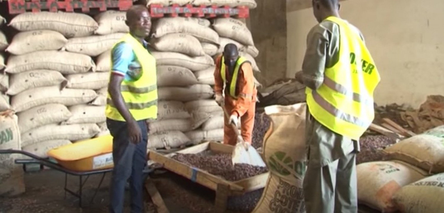Côte d'Ivoire :    L'Initiative Cacao Côte d'Ivoire-Ghana (ICCIG) s'accorde sur les principes et les procédures pour l'accès de nouveaux membres
