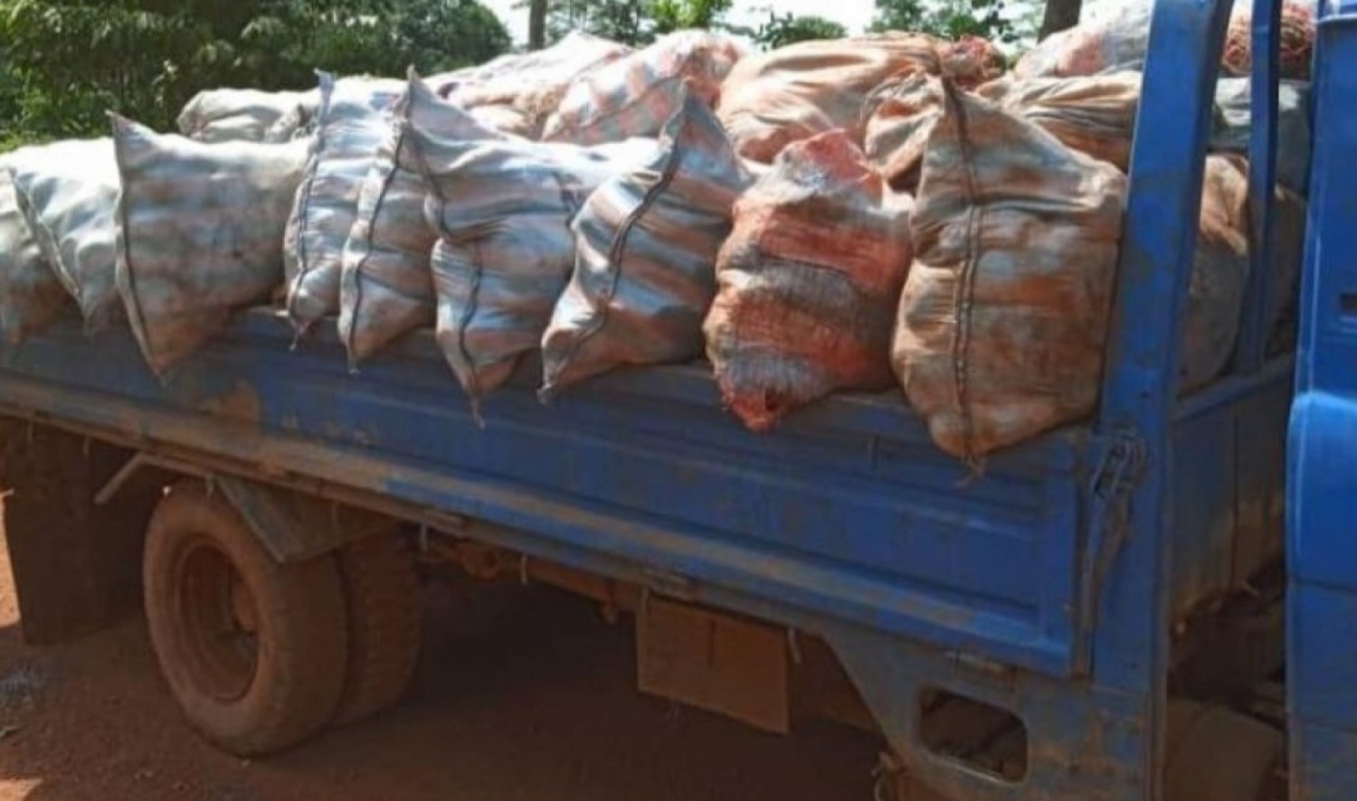 Côte d'Ivoire : Fuite des produits agricoles, un camion chargé de fonds de tasse d'hévéa saisi par  la Gendarmerie, des interpellations