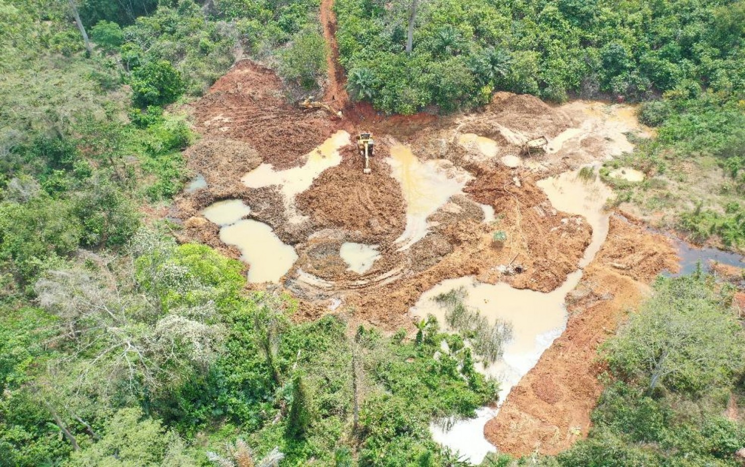 C te D Ivoire Lutte Contre L orpaillage Clandestin La Traque Contre 